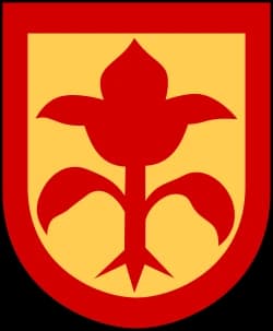 Uppvidinge