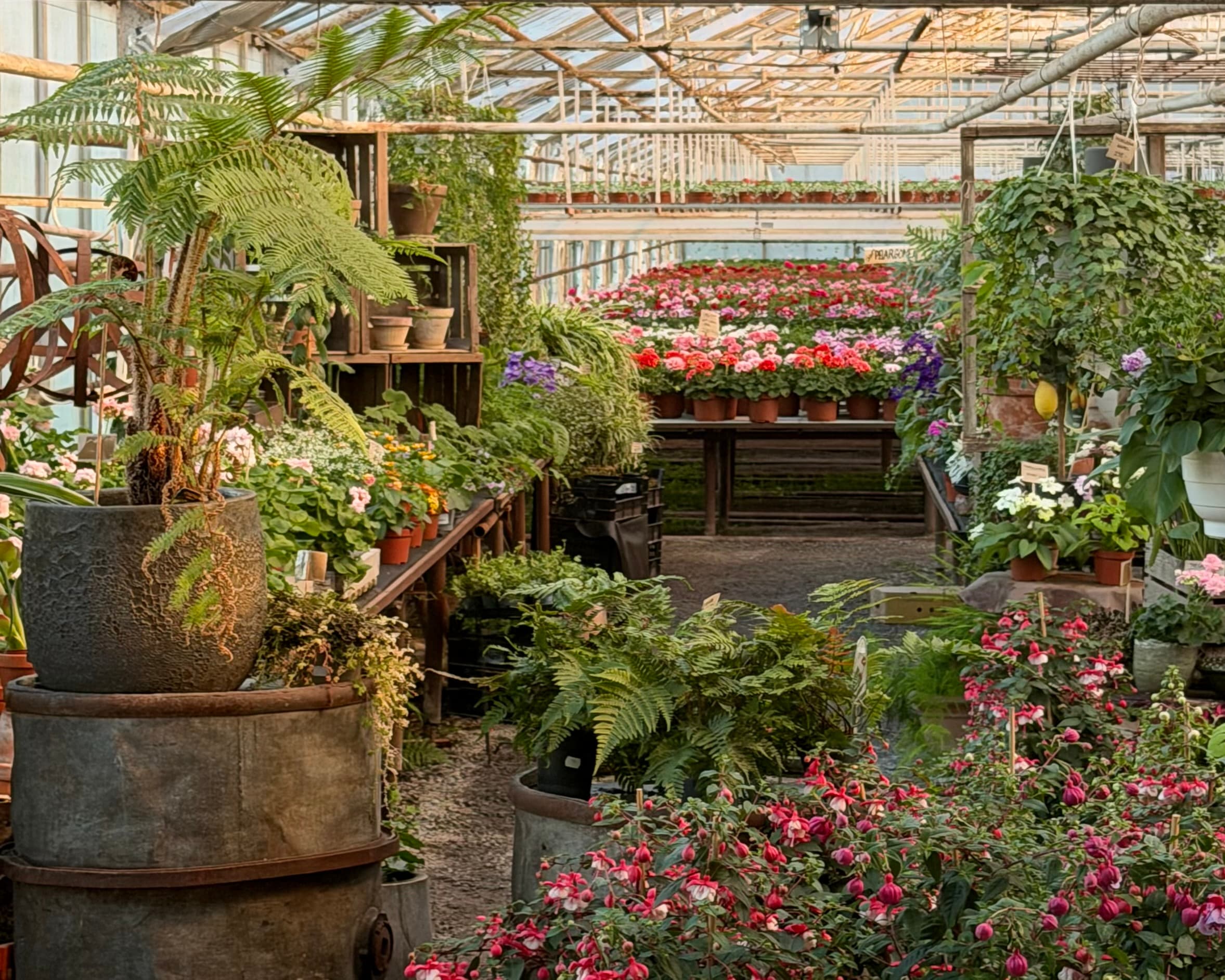 Vibergs Blommor Sätuna
