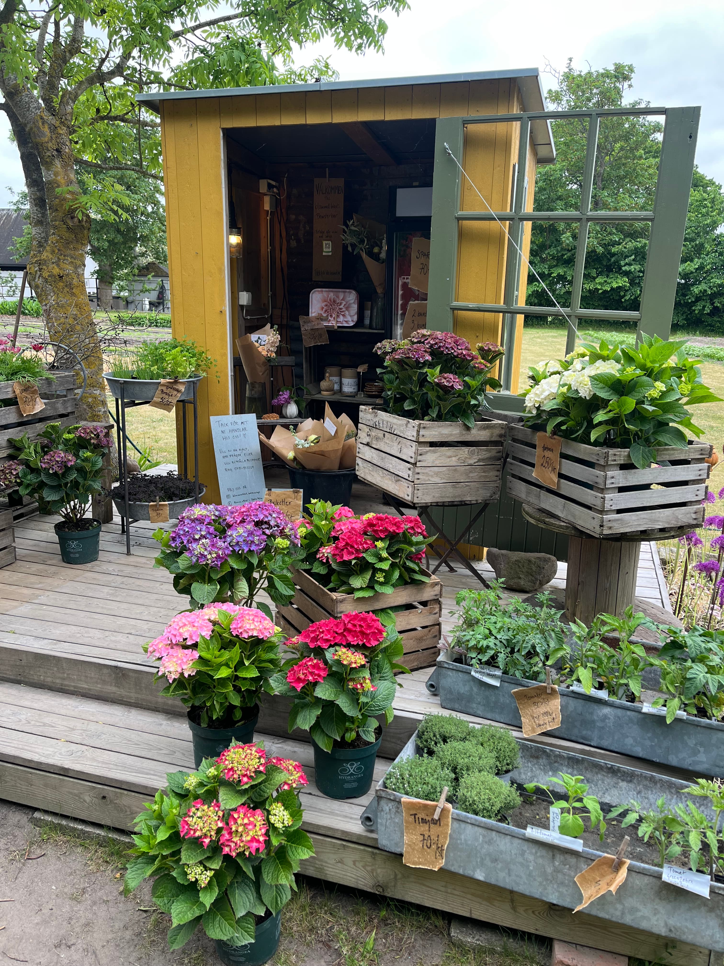 blomma&blad, SödraMöinge