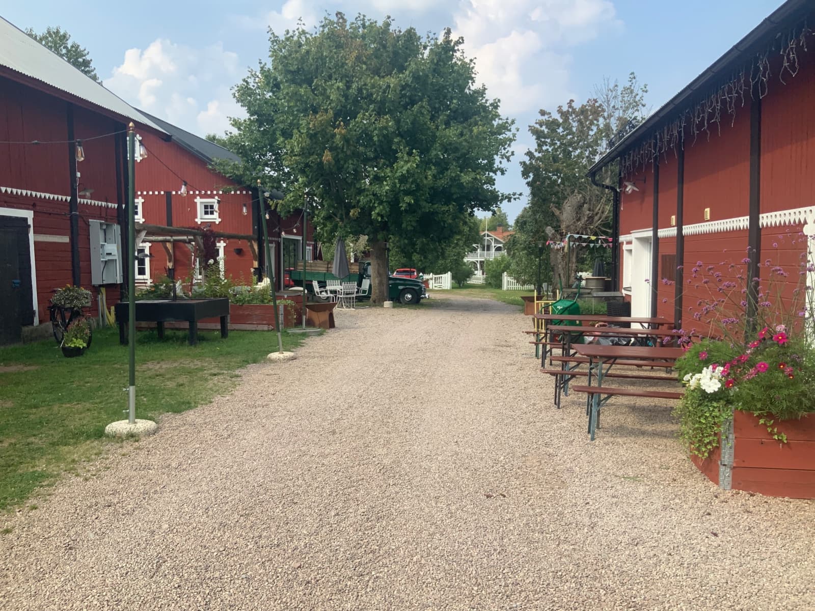 Musteriet
