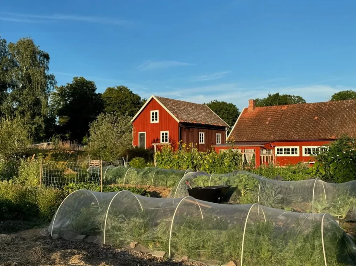 Lilla Bosgården