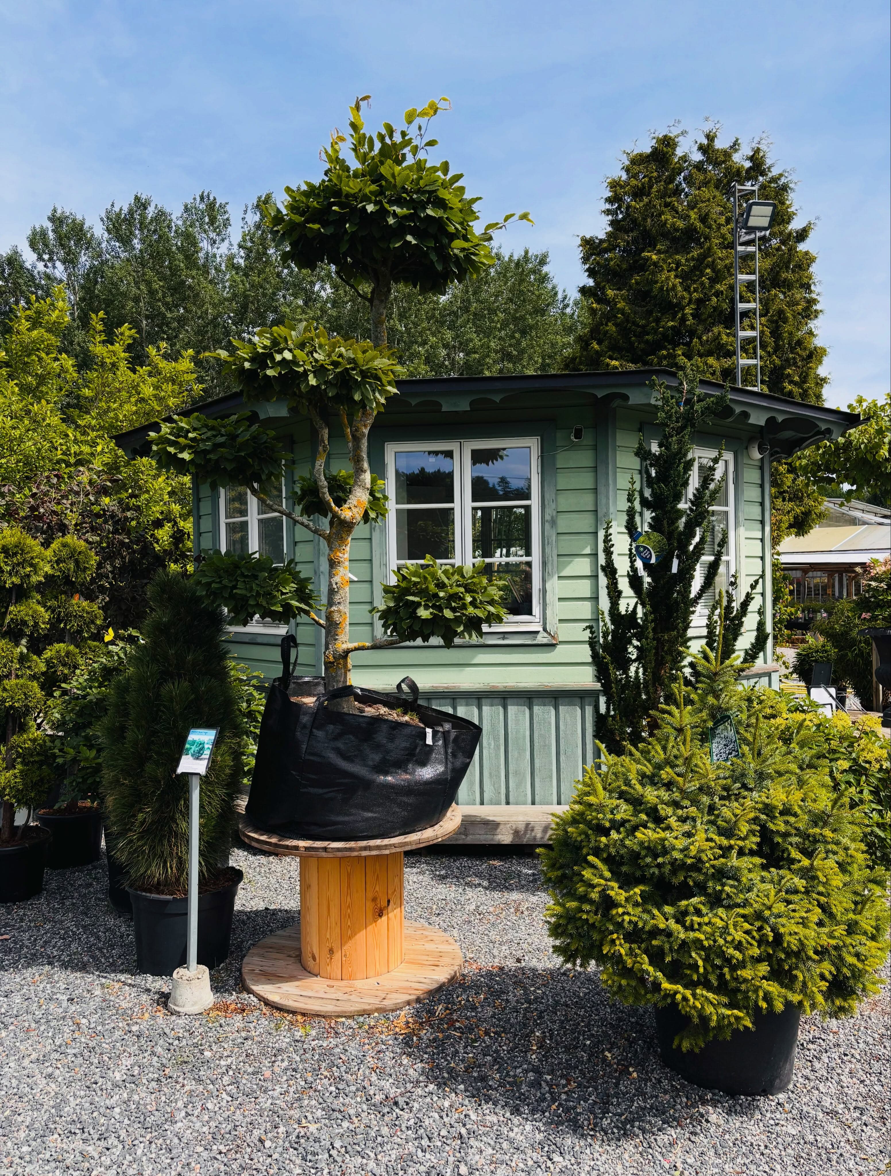 Åkersberga Växtförsäljning