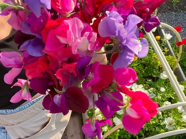 Blomsterstunden