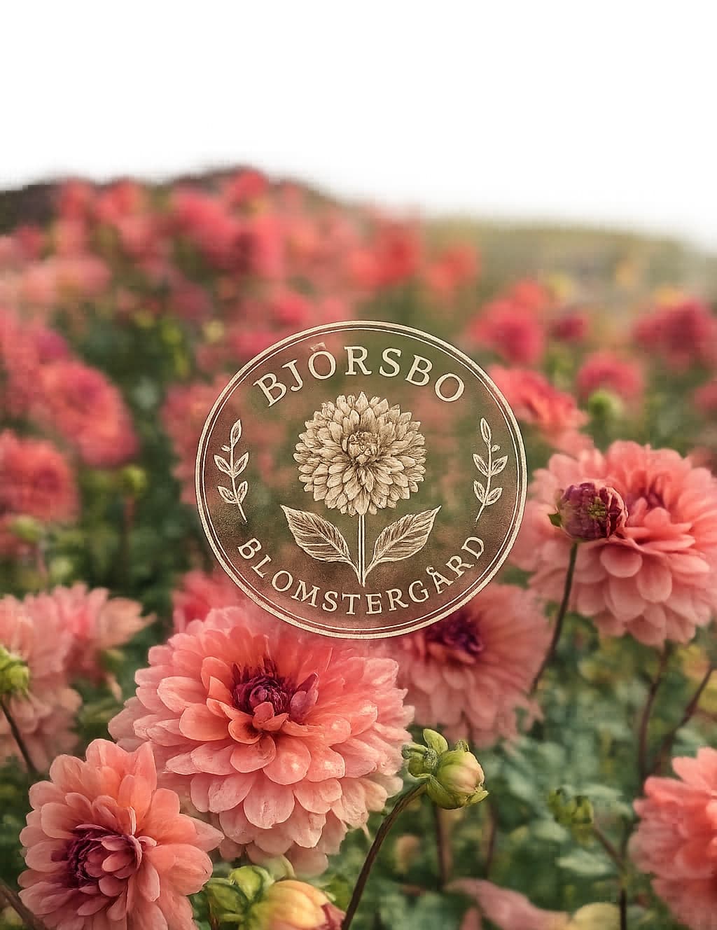 Björsbo blomstergård