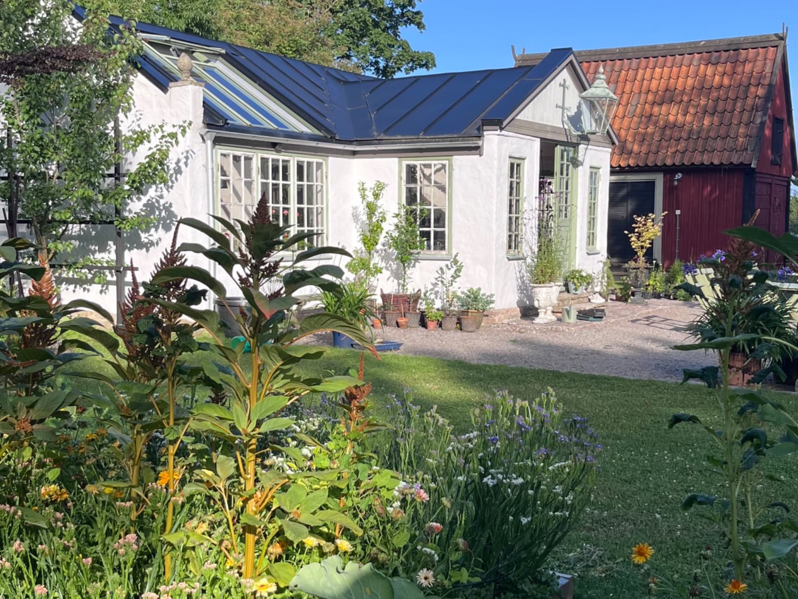 Tränksträdgård