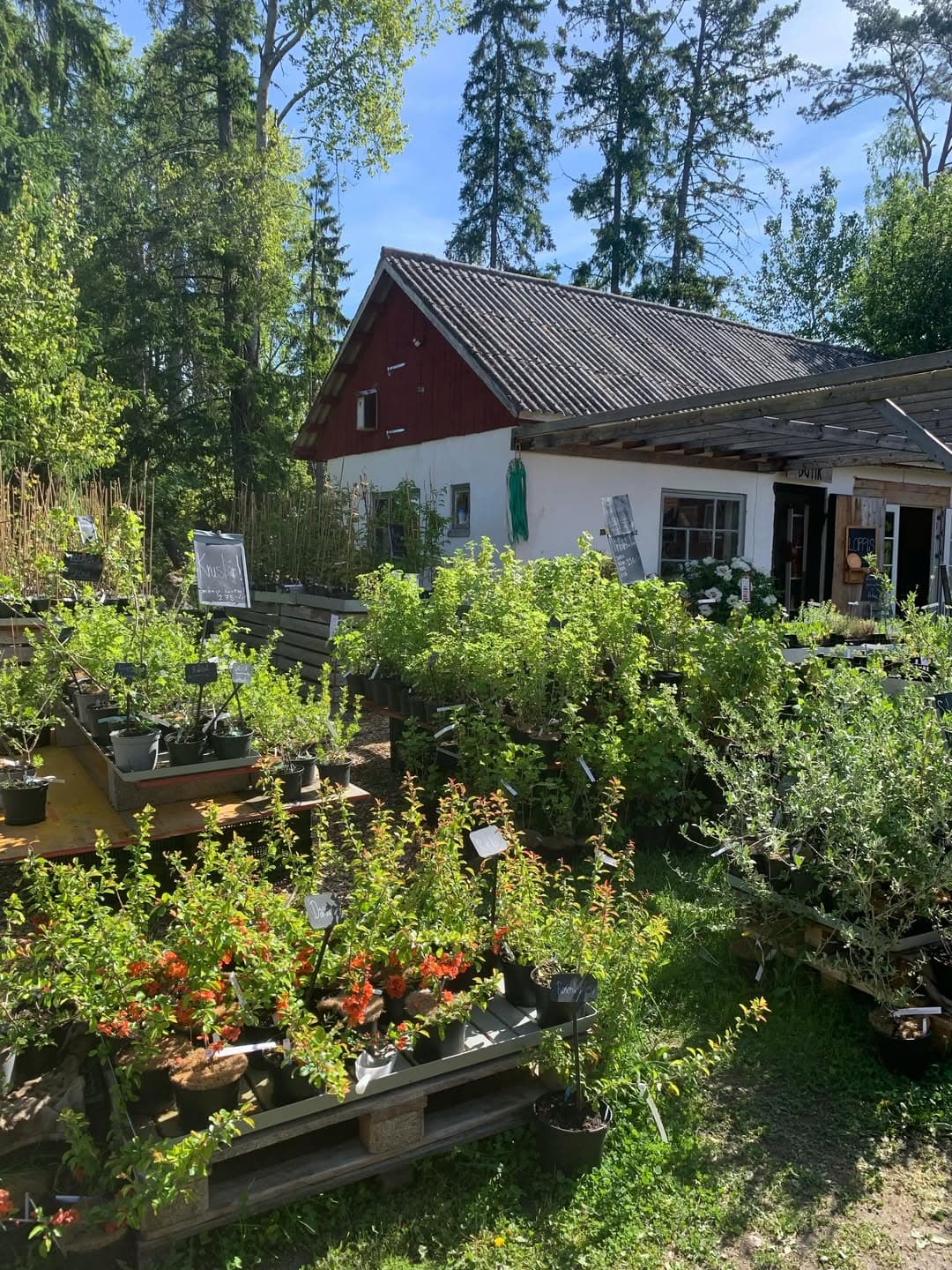 Svartbäckens trädgård