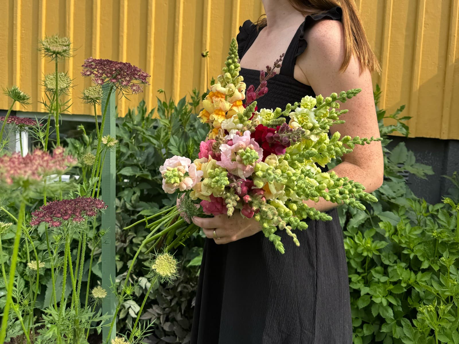 Solstugans Blommor