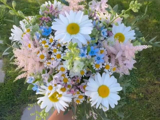 Lilys Blommor