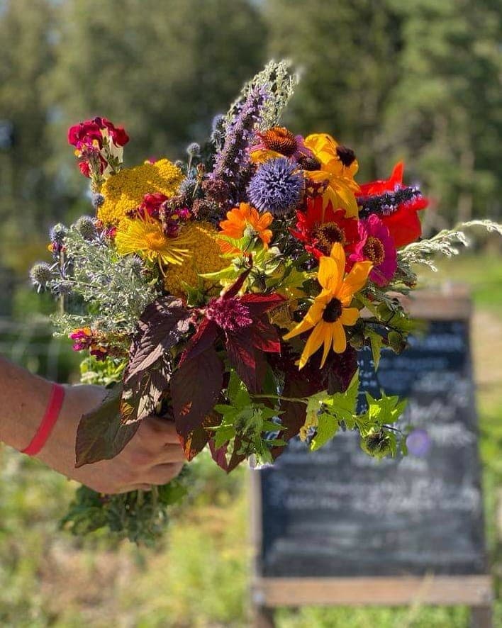 Trädgårn Södertälje