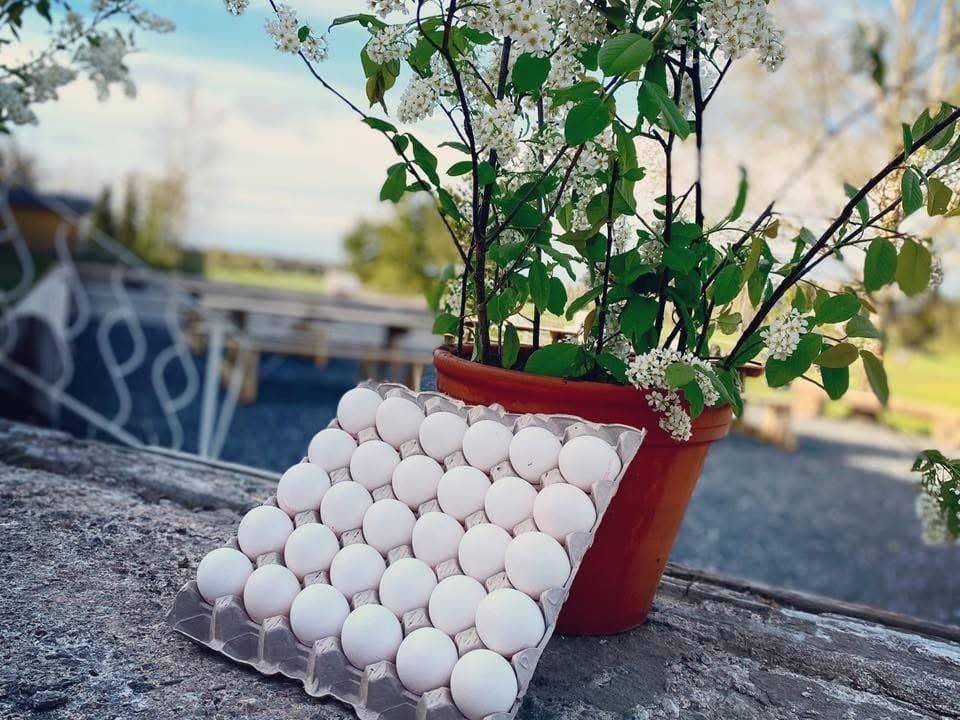 Vigelsboäng’s Gårdsbutik
