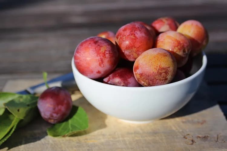 Alekärr Ekologiska Gård