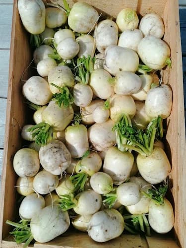 Alnarp's Agroecology Farm