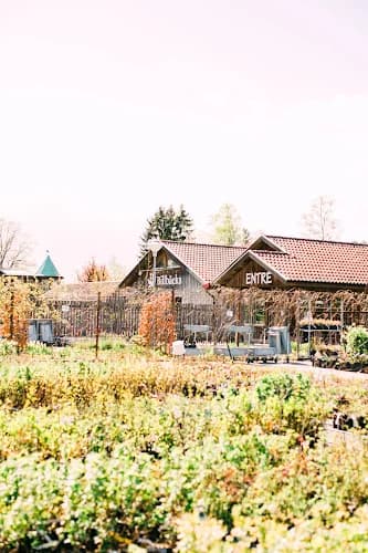 Billbäcks Plantskola