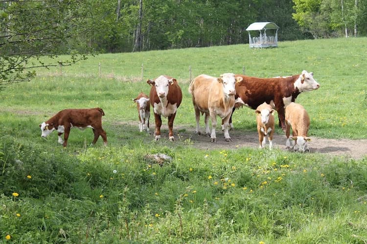 Bittinge gårdsbutik