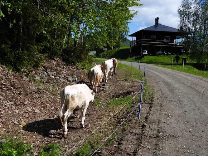 Bränna Gårdsmejeri