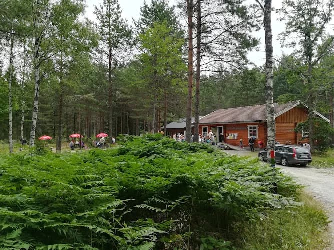 Dalslands Moose Ranch