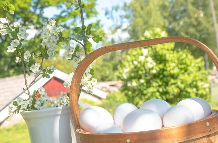 Eco Care Gårdsbutik & Relax