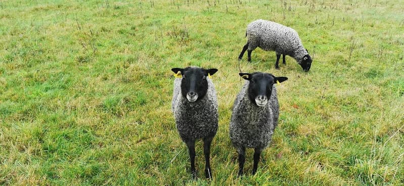 Ekastiga Gårdsbutik