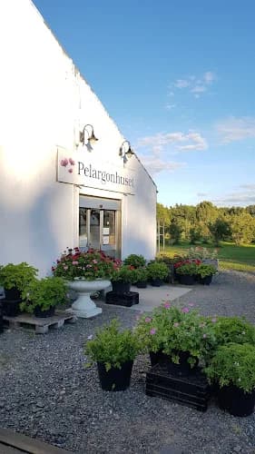 Flädergården/Pelargonhuset