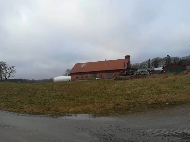 Gällenäs grönsaker