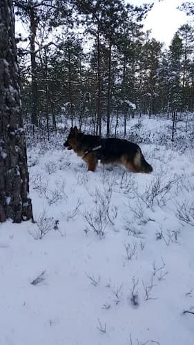 Garphyttans Industrimuseum