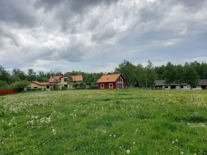 Grimstorpets Trädgård & Belysning