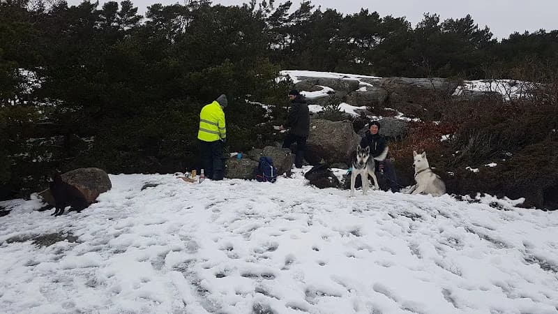 Håvs Lamm & Delikatess