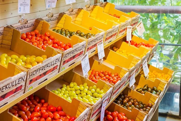 Hoffrekullens handelsträdgård