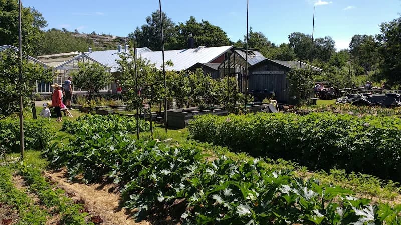 Kosters Trädgårdar