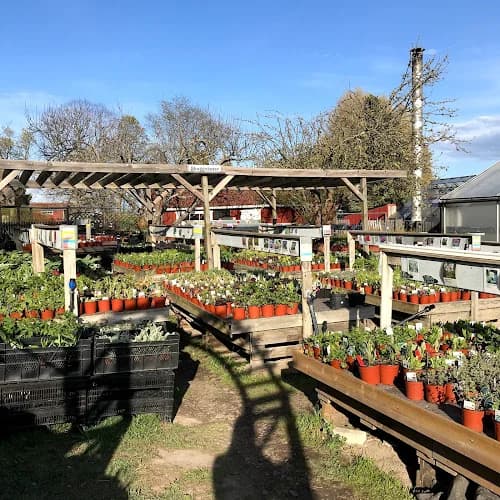 Landqvist Handelsträdgård