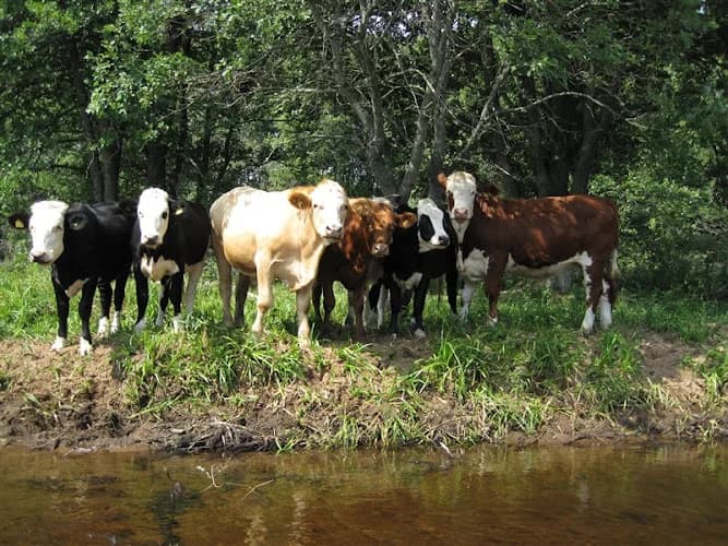 Linneryd Södergård