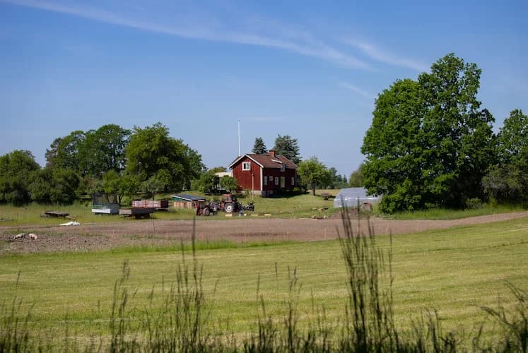 Lucketorps Lamm & Lantbruk