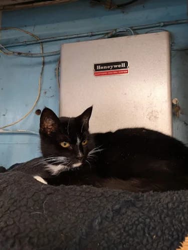 Lundsbrunns Handelsträdgård