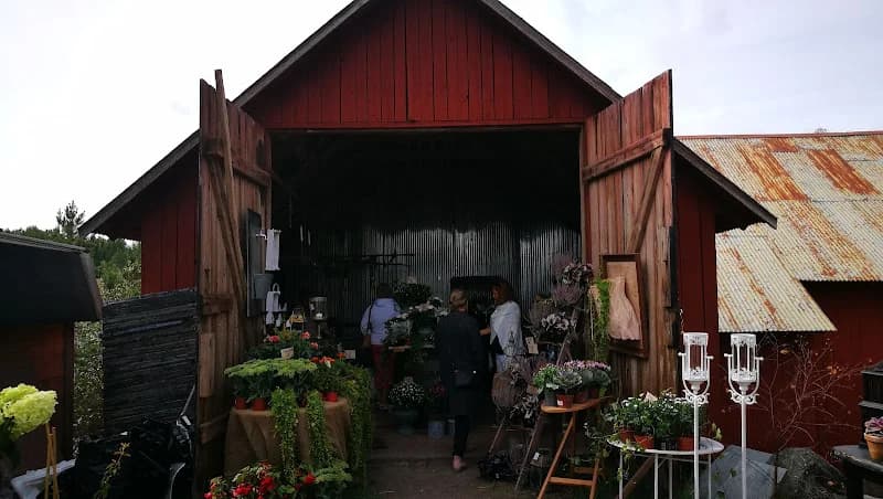 Nora gård- loppis, café & gårdsbutik