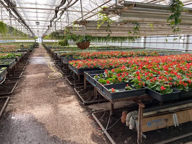 R Vibergs Blommor HB