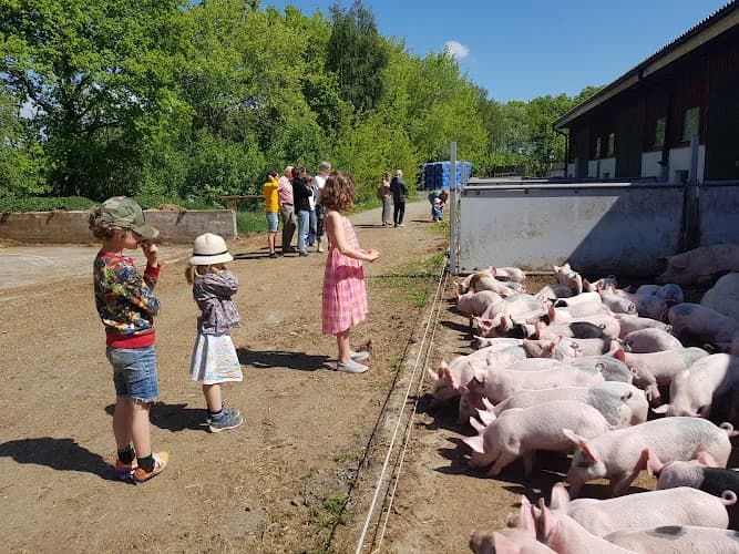 Ragnarssons - ekologiskt naturligtvis