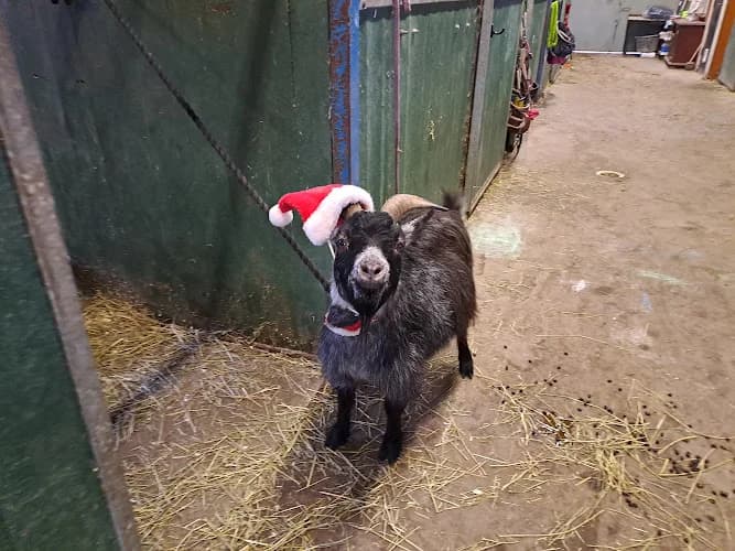 Rambergs lilla butik