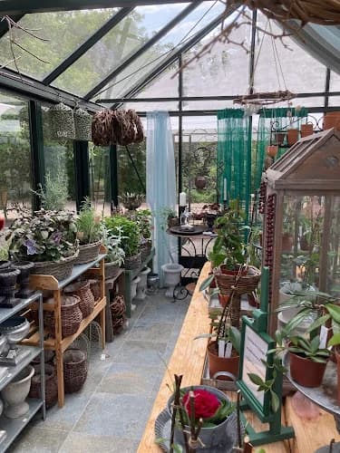 Rosa på Lillegården