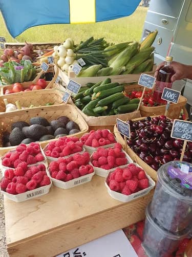 Sandagubben ( ej självplock )