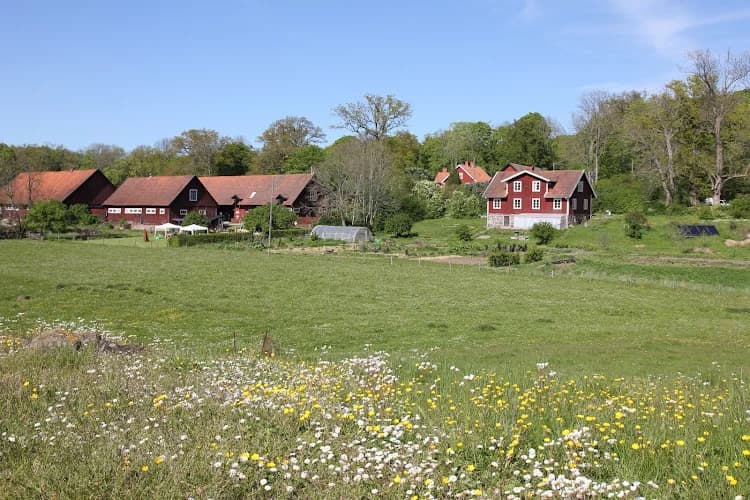Skärvagård