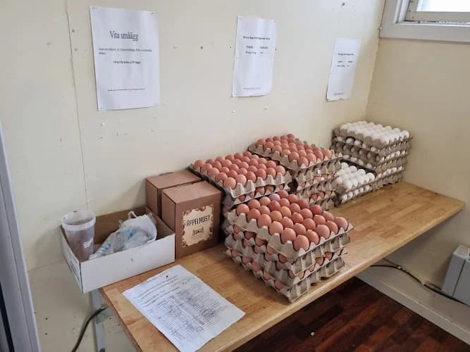 Springsta Säteri Äggbod