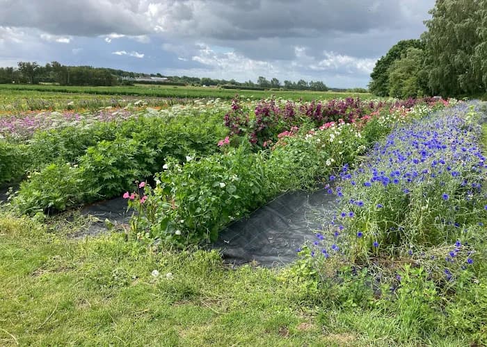 Susegård Gårdsförsäljning