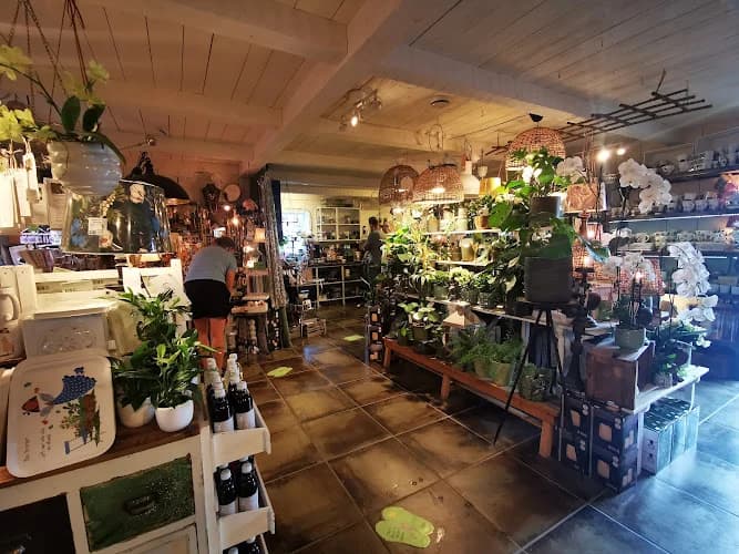 Tant Grön i Vintrosa