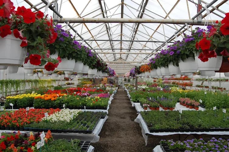 Trädgår'n I Bygdeå