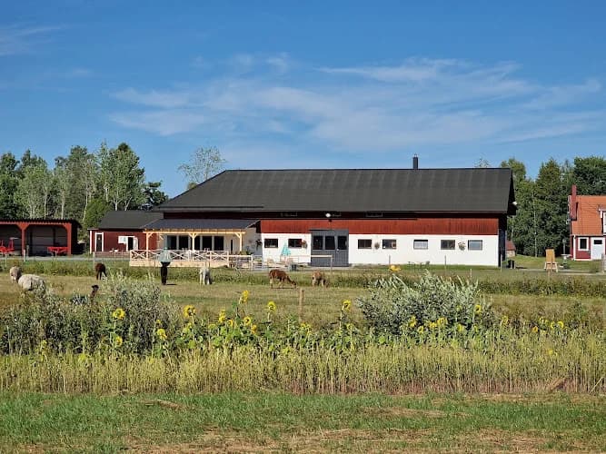 Väddö Alpackagård