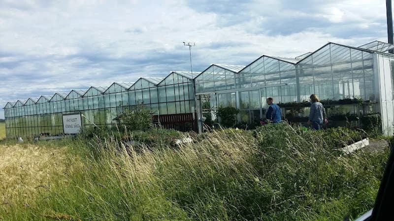 Växthuset Rökinge gård