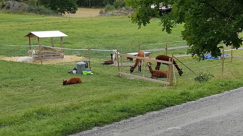 Visätter Kalkongård