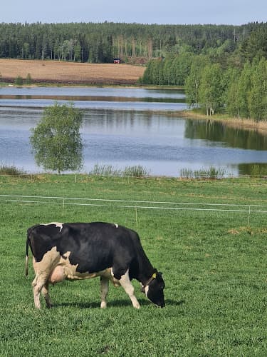 Algots Gård i Piteå AB