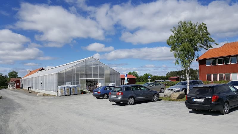Fröjas, Oasen i Ås