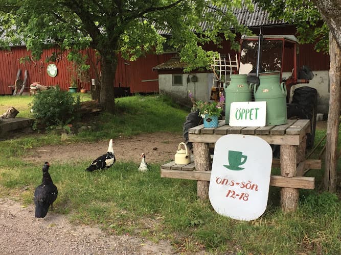 Tassemarken